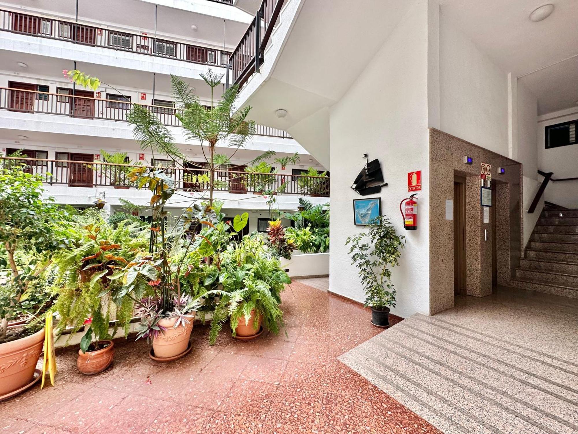 First Line Attic - Adults Only - Leilighet Puerto de la Cruz  Eksteriør bilde